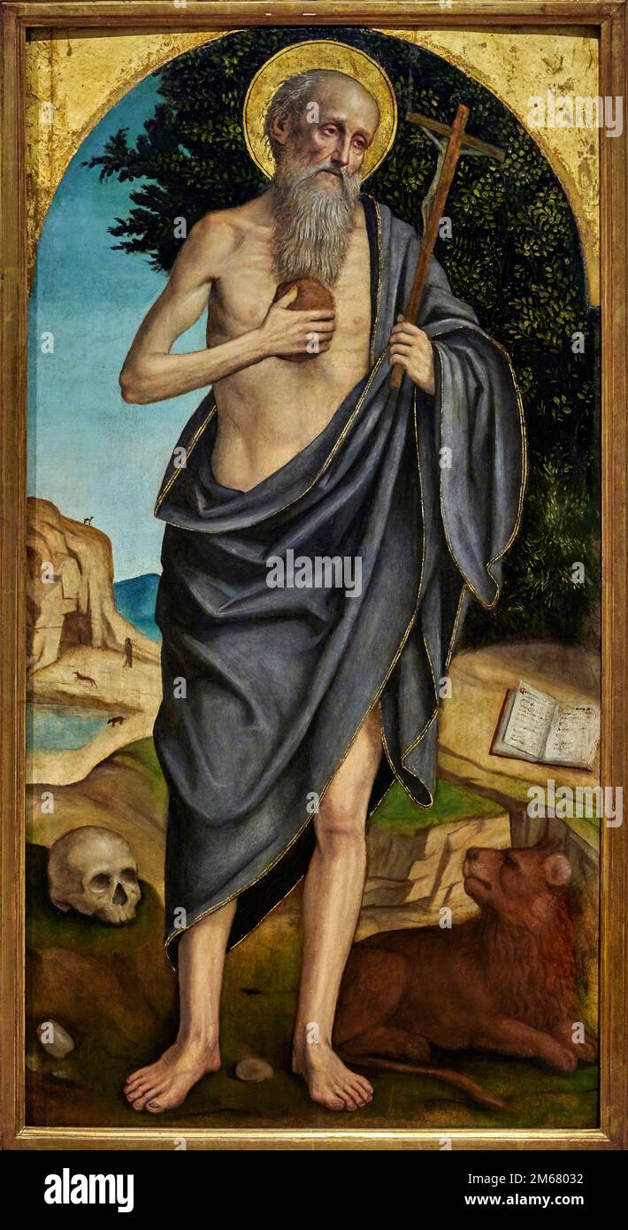 San Gerolamo - olio e tempera su tavola - Ambrogio da Fossano detto il Bergognone - 1510 - Milano, Pinacoteca del Castello Sforzesco Banque D'Images