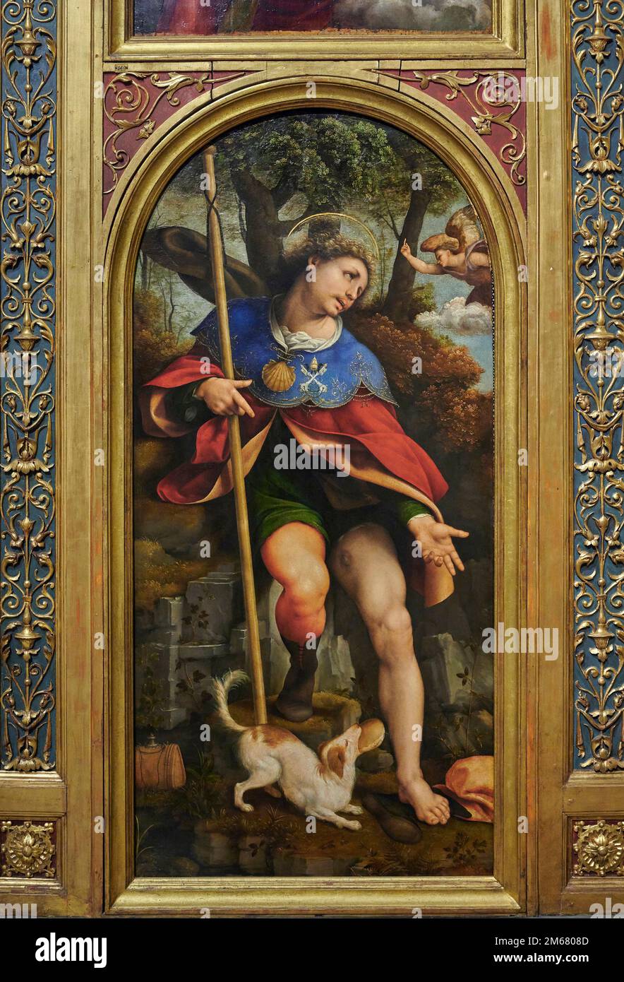 San Rocco, Particolare da « Polittico di San Rocco » - olio su tavola - Cesare da Sesto - 1523 - Milano, Pinacoteca del Castello Sforzesco Banque D'Images