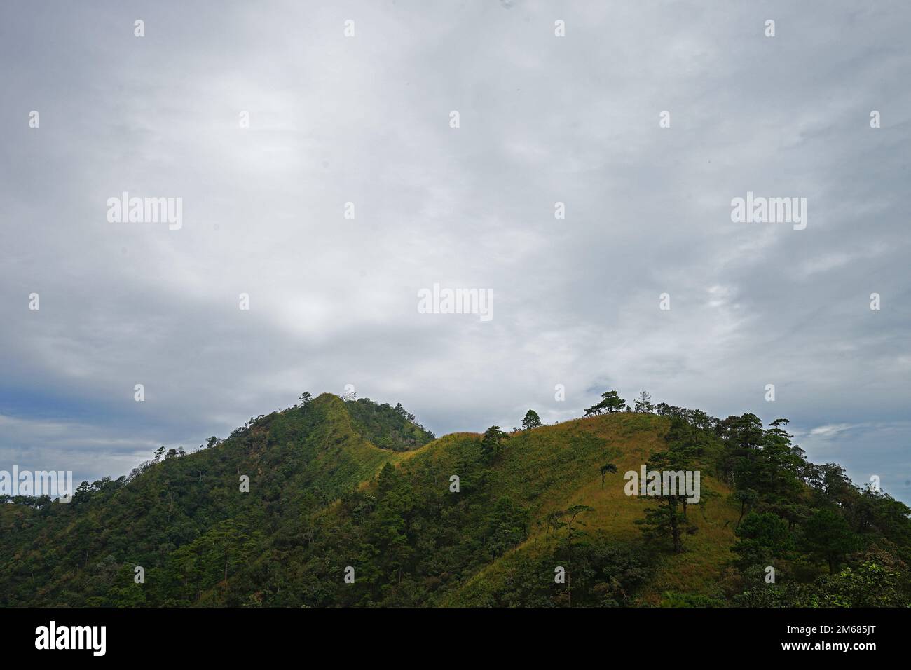 Vue sur le paysage naturel depuis le sommet de la chaîne de montagnes verdoyantes avec ciel nuageux et brumeux Banque D'Images