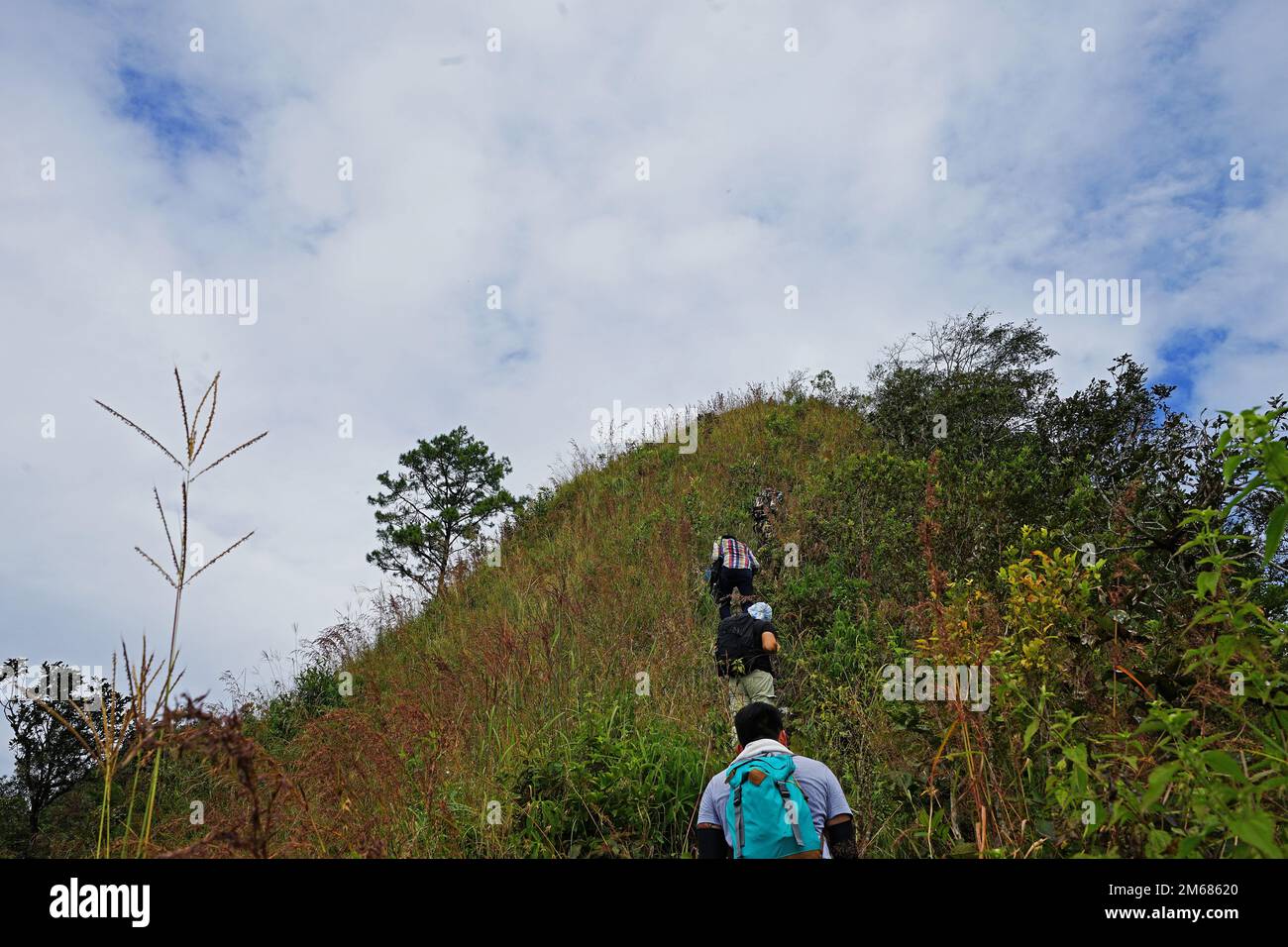 Backpacker sur le sommet de la colline regardant la chaîne de montagne verte avec ciel nuageux Banque D'Images