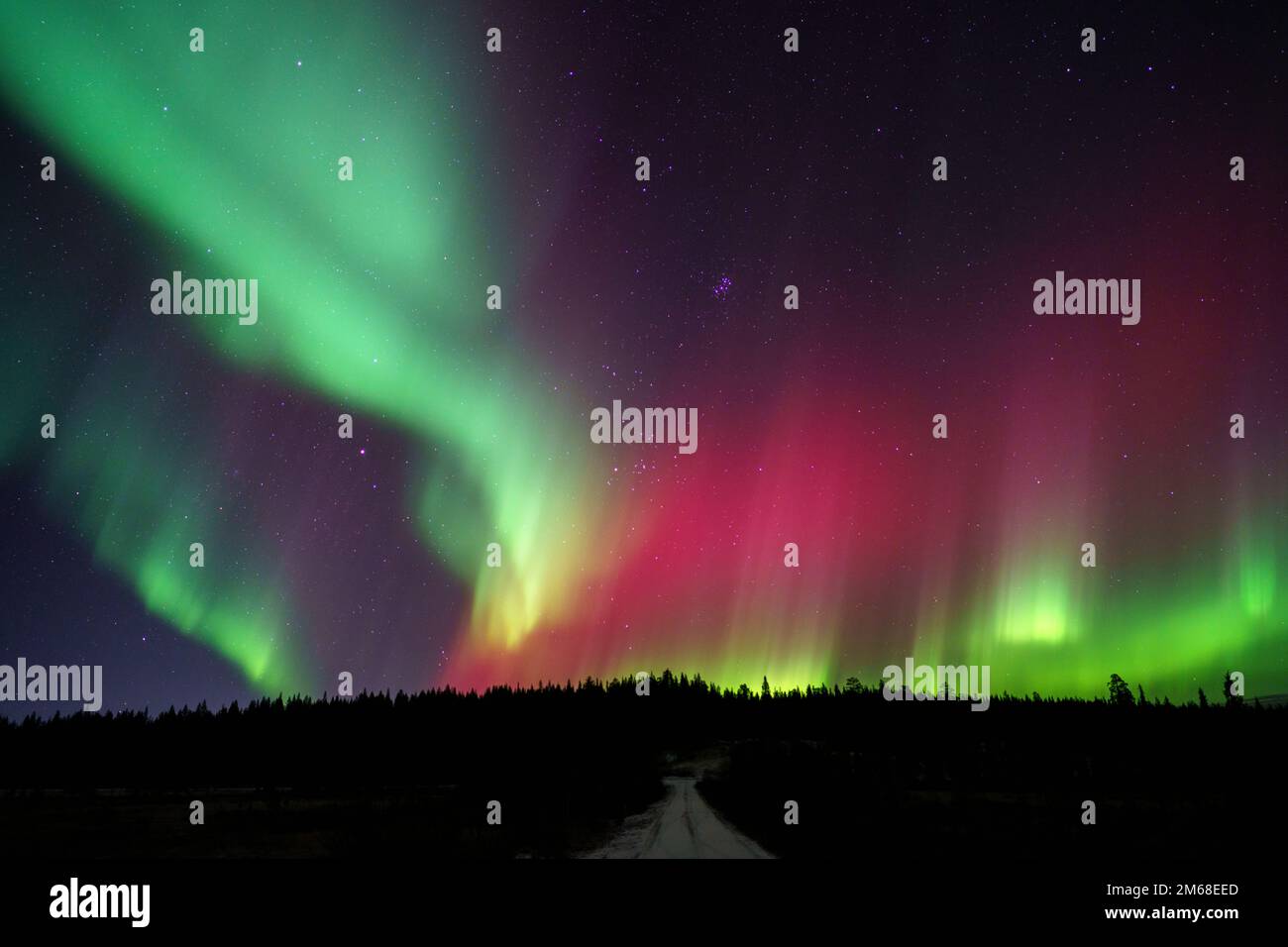 Lumière du Nord colorée, Aurora borealis , Gällivare, Laponie suédoise, Suède Banque D'Images