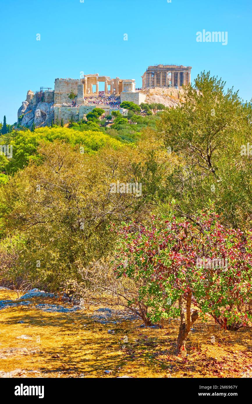 Parc de la ville sur la colline des nymphes à Athènes et l'Acropole en arrière-plan, la Grèce Banque D'Images