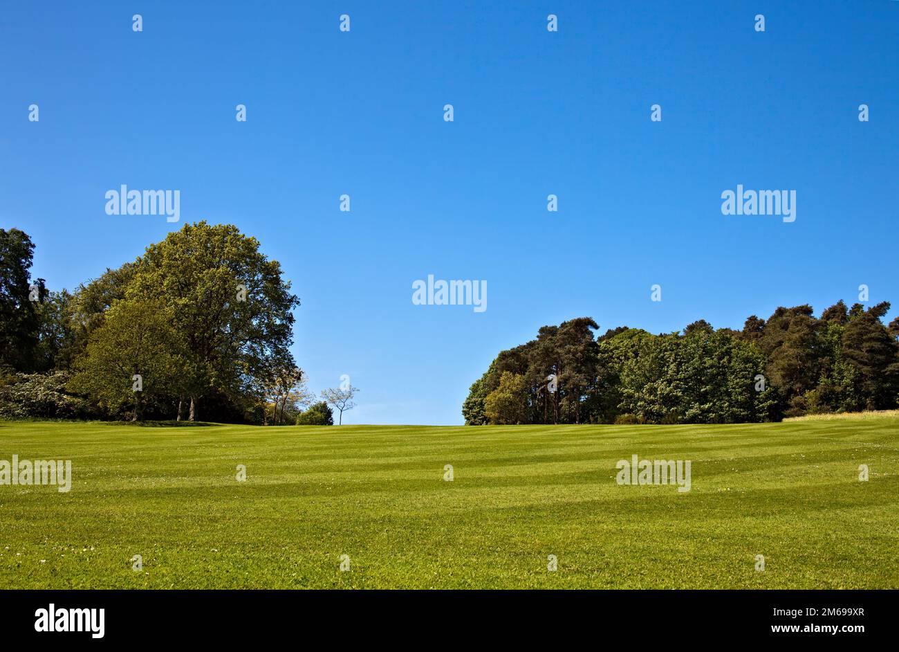 Pelouse rayée Banque D'Images