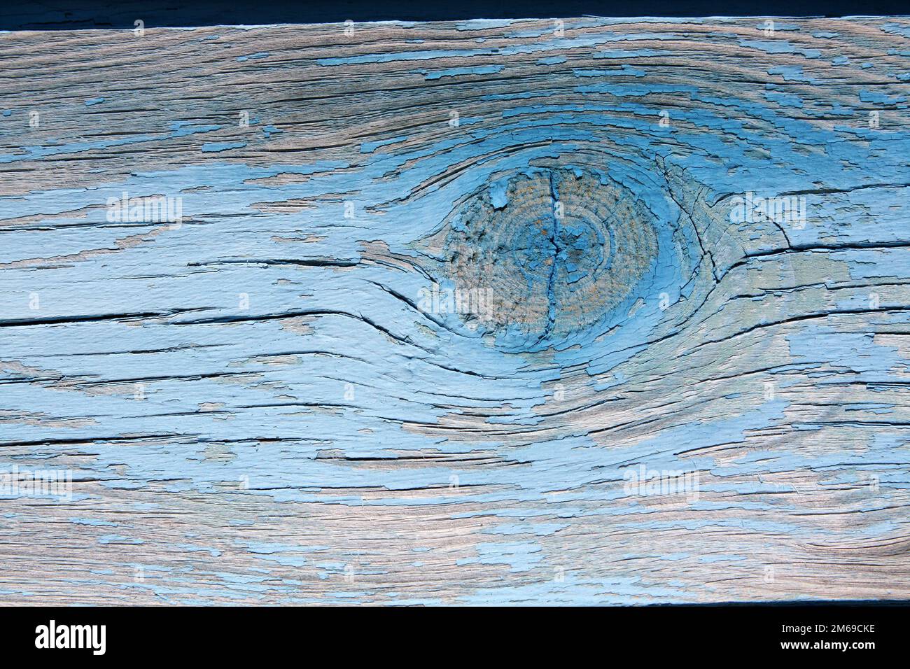 Arrière-plan en bois. Échantillonner les anciennes planches dont les nœuds sont peints en bleu Banque D'Images