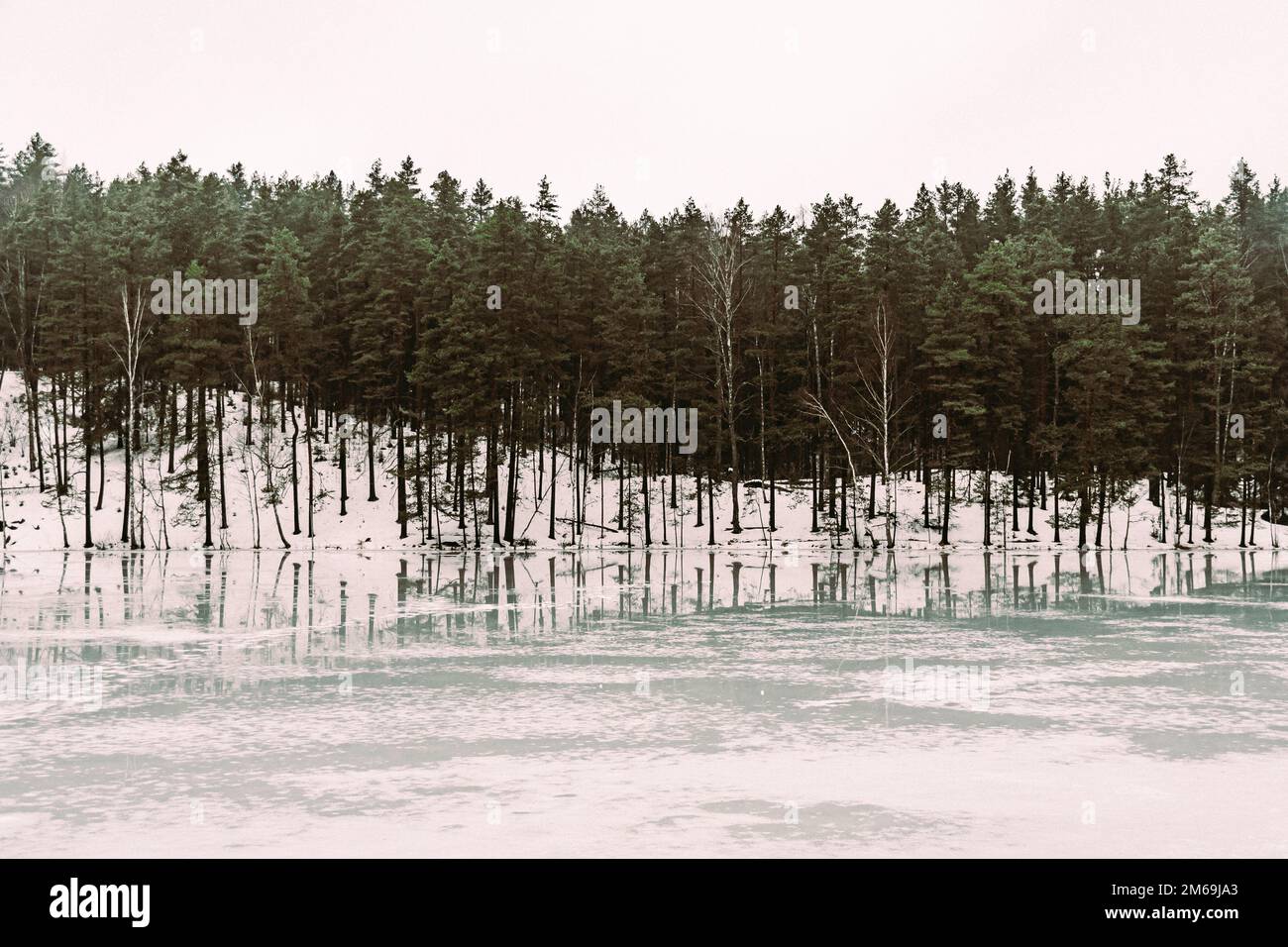 Magnifique paysage d'hiver avec lac gelé et forêt de pins reflétant sur la glace Banque D'Images