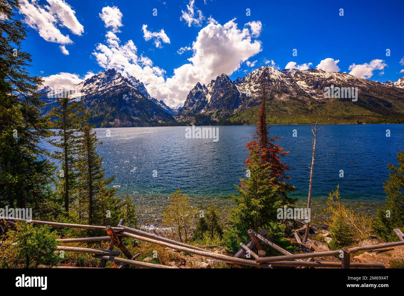 Lac Jenny et montagnes Grand Teton dans le Wyoming, États-Unis Banque D'Images