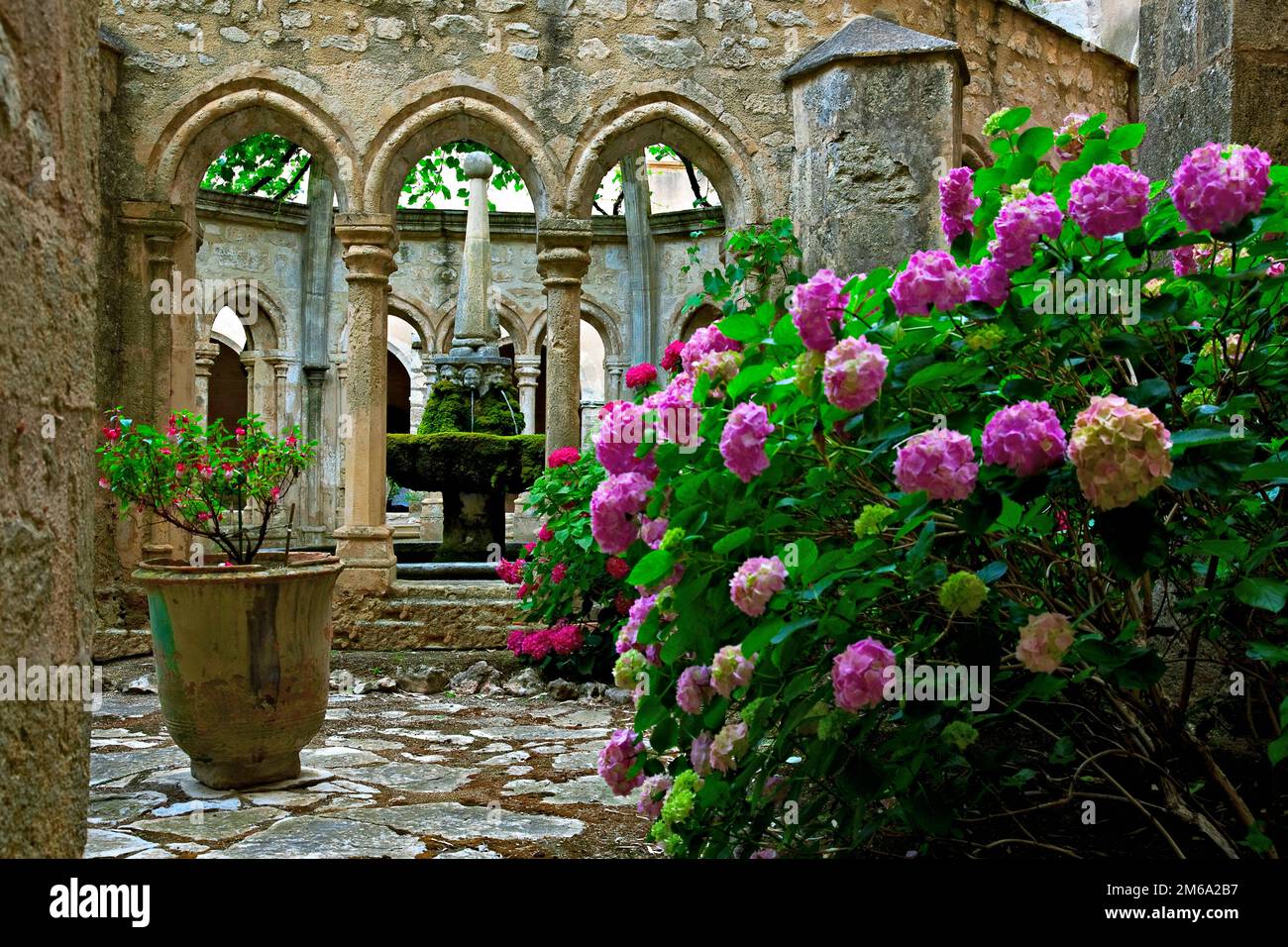 Klostergarten der Abbaye de Valmagne, Languedoc-Roussillon, France Banque D'Images