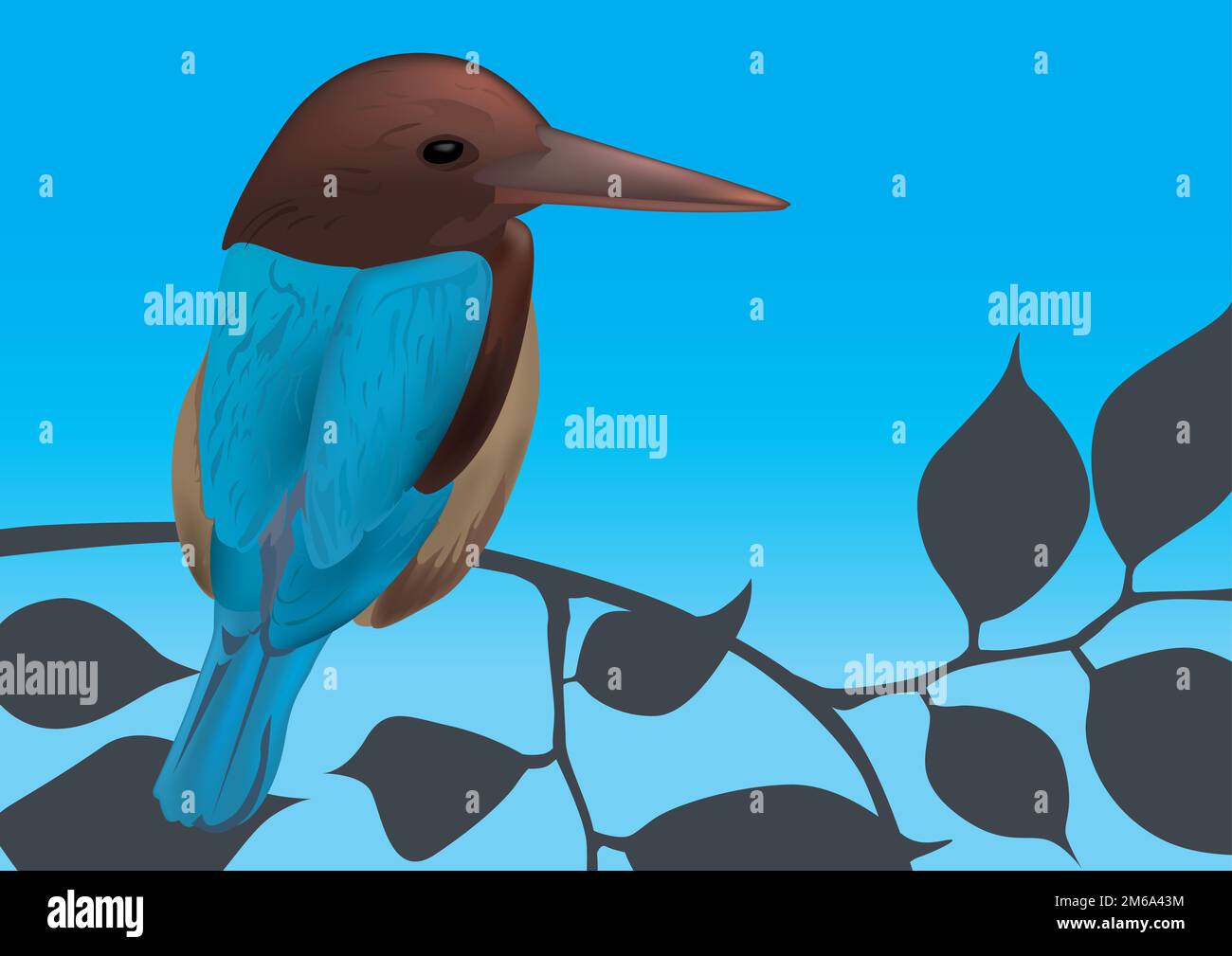Illustration du vecteur Kingfisher Bird Banque D'Images
