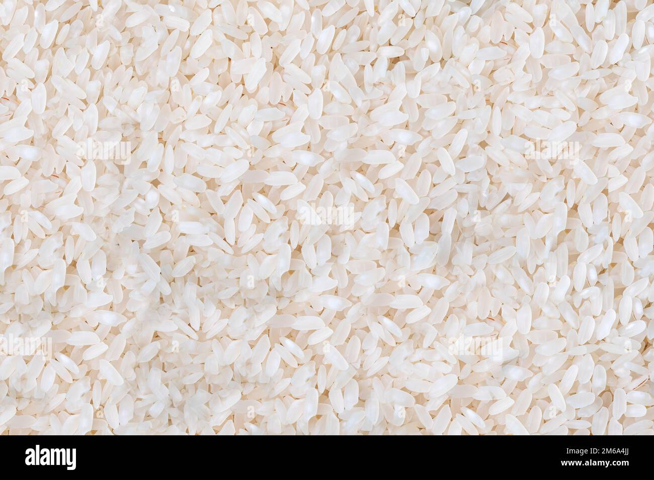 Fond de riz blanc non cuit. Céréales crues non cuites. Texture. Gros plan. Banque D'Images