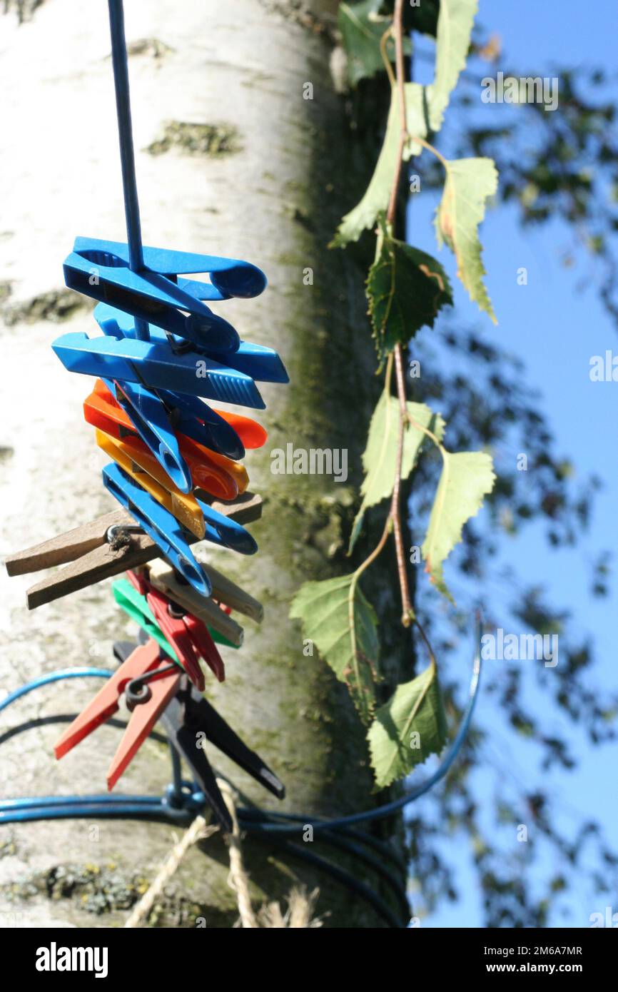 Épingles à linge dans le jardin Banque D'Images