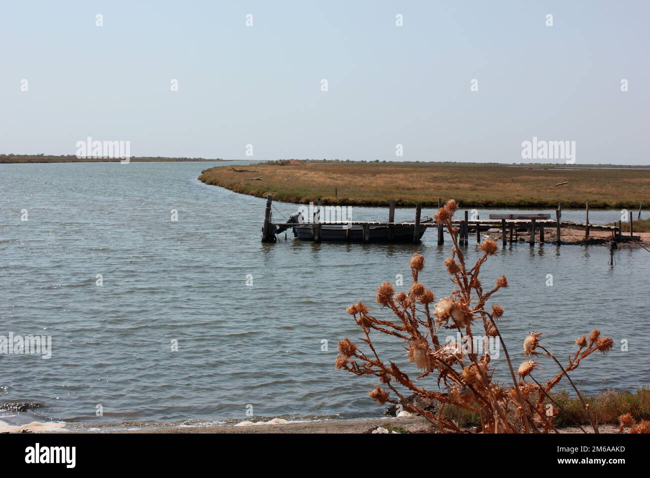 Parc national de Delta Evros, Evros Thraki Grèce Banque D'Images