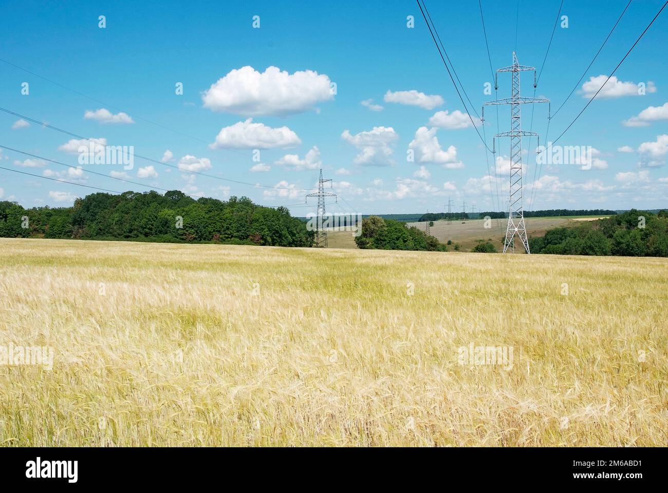 Lignes électriques haute tension sur le champ de blé Banque D'Images