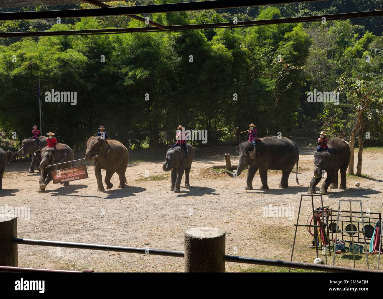 Chiang Mai, Thaïlande. 13 novembre 2022: Spectacle d'éléphants au camp d'éléphants de Mae sa.Nord de la Thaïlande point de visite important Chiang Mai Banque D'Images Chiang Mai, Thaïlande. 13 novembre 2022: Spectacle d'éléphants au camp d'éléphants de Mae sa.Nord de la Thaïlande point de visite important Chiang Mai Banque D'Images