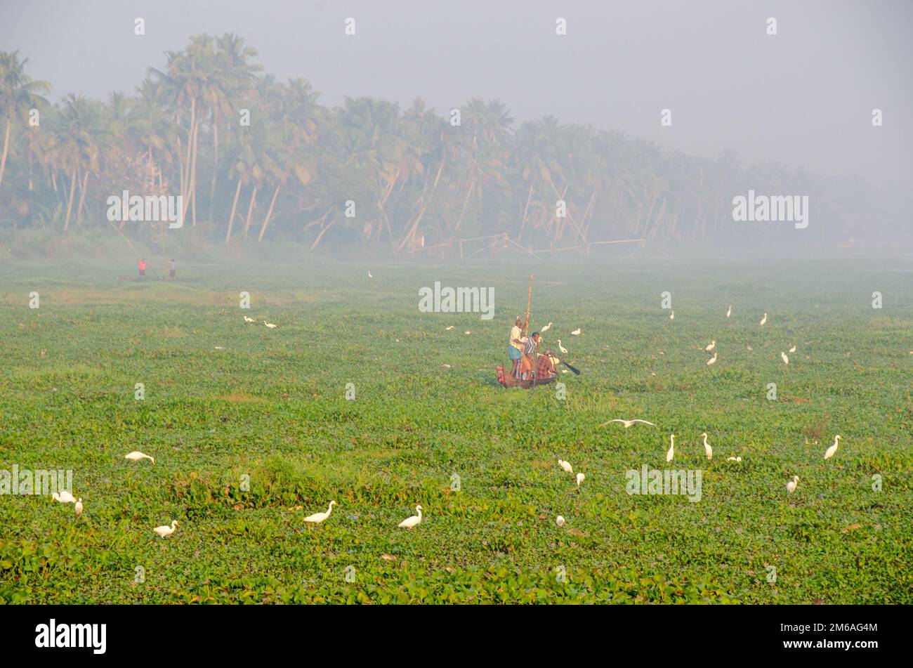 L'Inde, le Kerala et les eaux - le pays de Dieu Banque D'Images