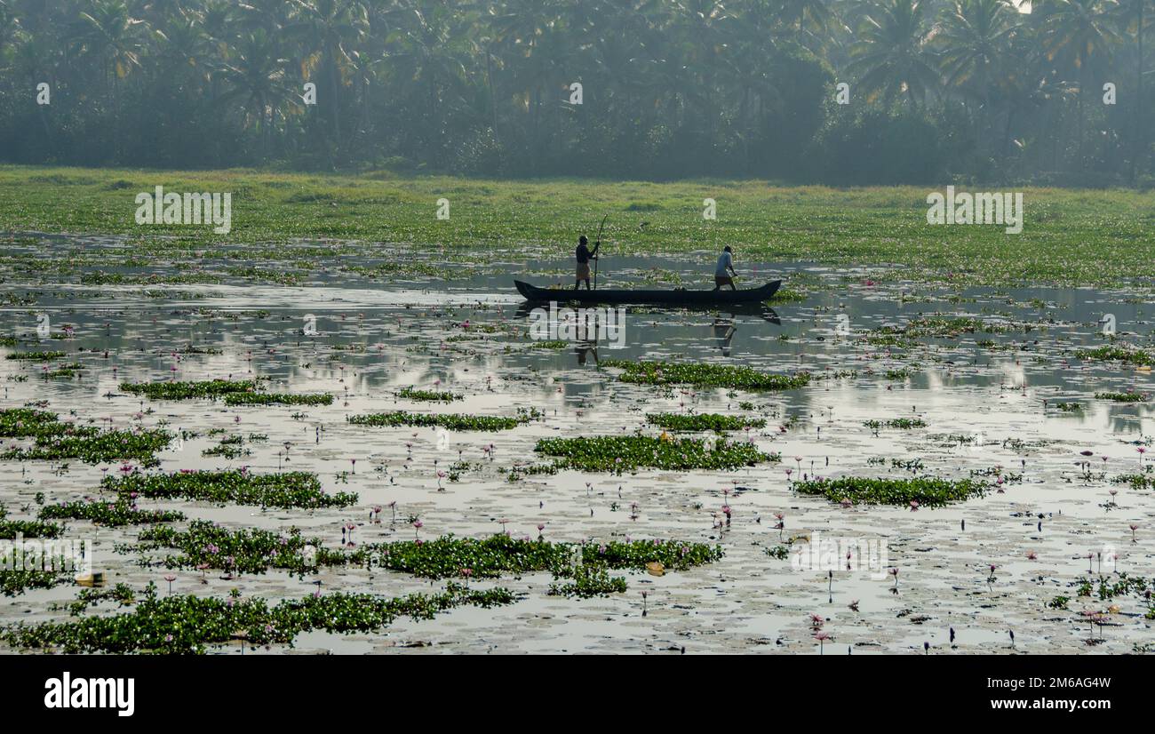 L'Inde, le Kerala et les eaux - le pays de Dieu Banque D'Images