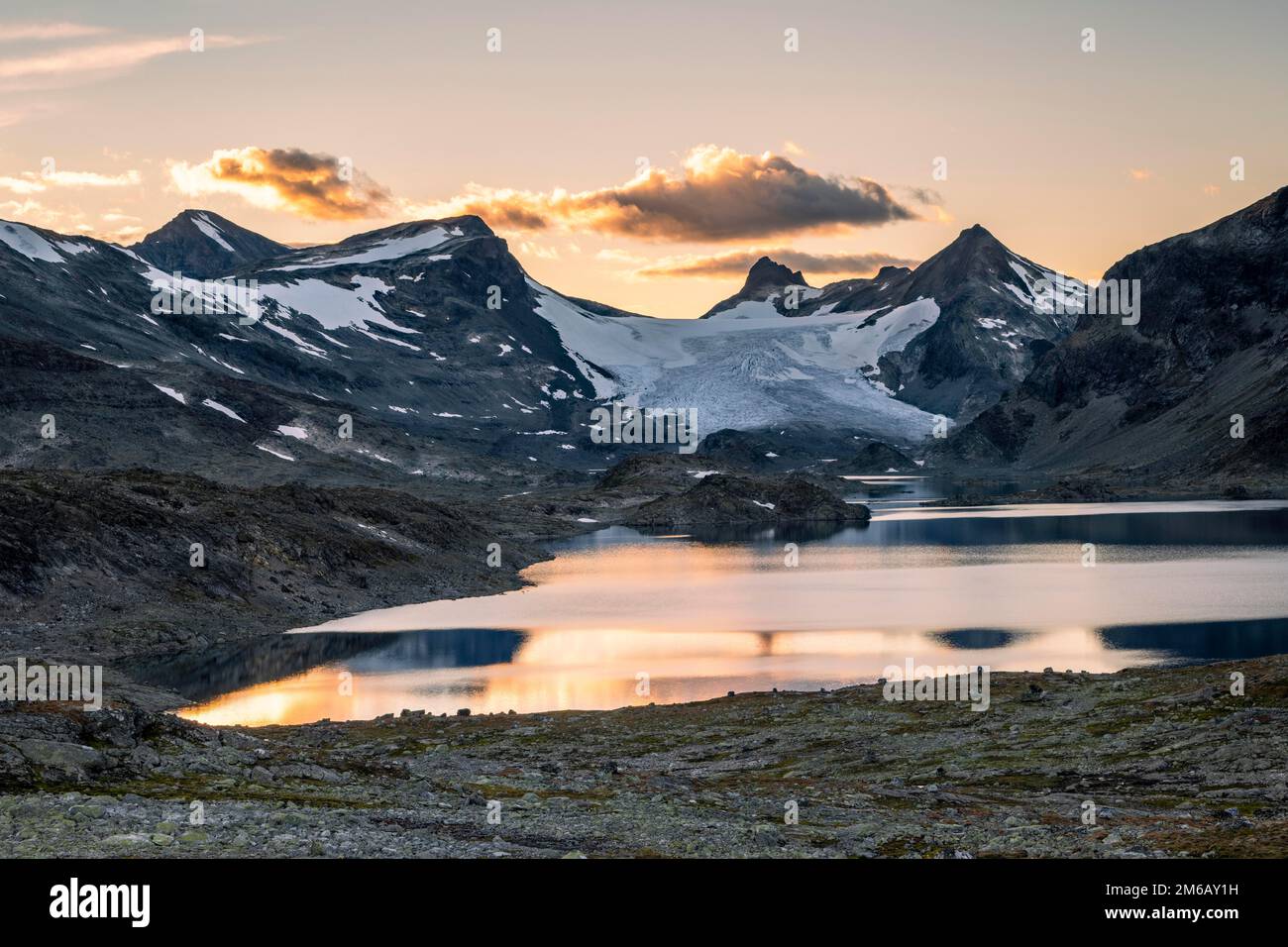 Lac Store Mjolkedalsvatnet avec glacier Mjolkedalsbreen, parc national de Jotunheimen, Norvège Banque D'Images