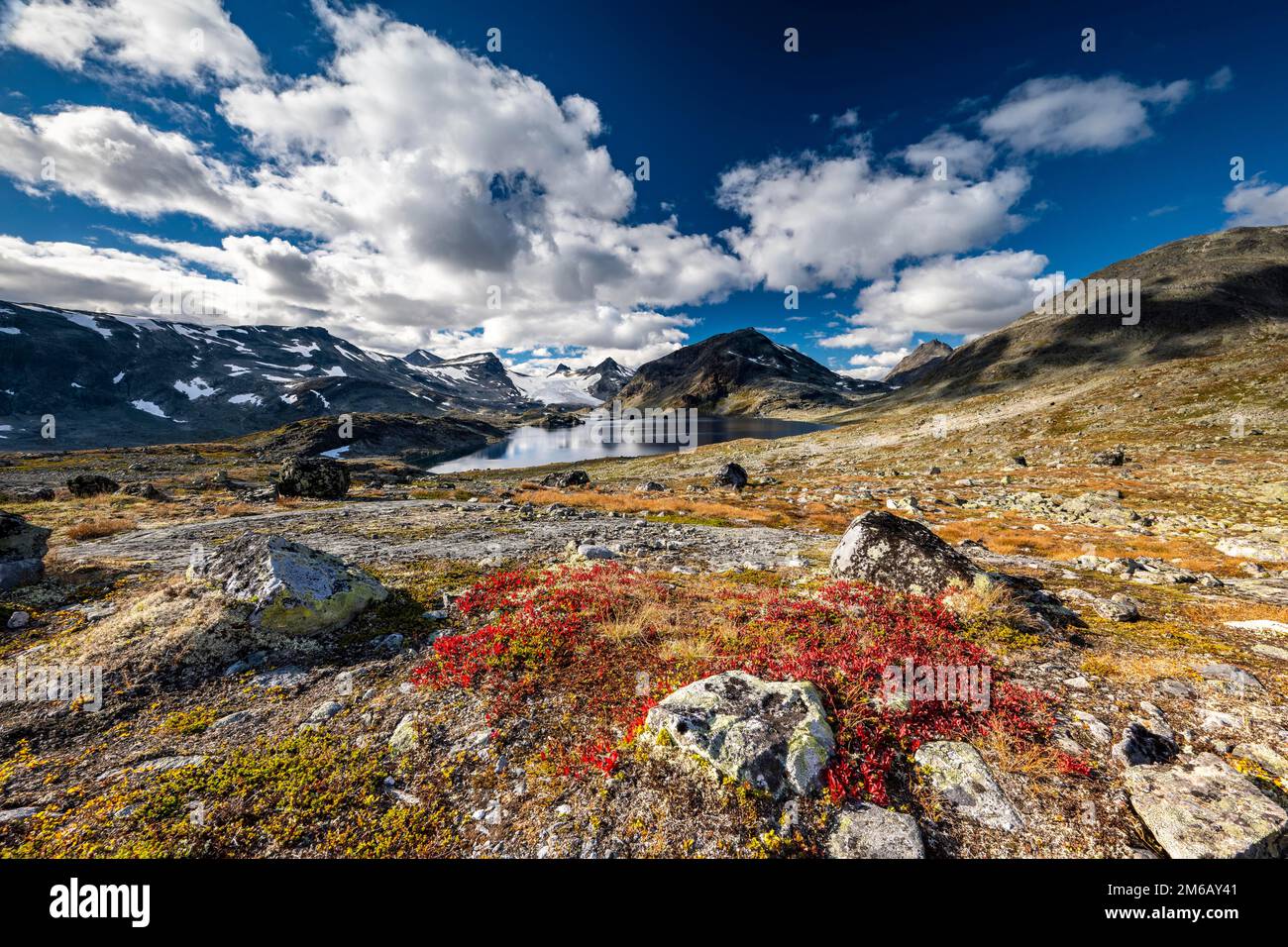 Paysage de montagne dans le parc national de Jotunheimen, lac Store Mjolkedalsvatnet avec glacier Mjolkedalsbreen, Norvège Banque D'Images