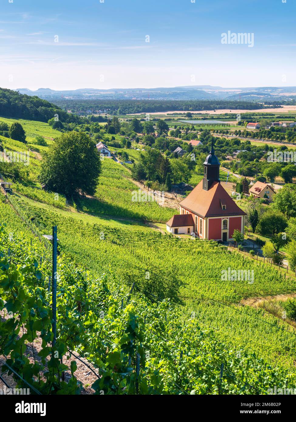 Vignoble église 'Zum Heiligen Geist', village baroque église dans les vignobles de Pillnitz dans la vallée de l'Elbe, Dresde, Saxe, Allemagne Banque D'Images