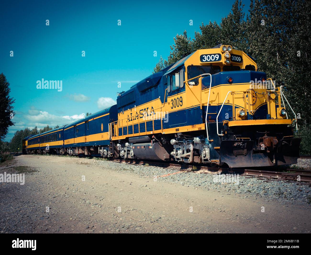 Train, parc national Denali, Alaska Banque D'Images