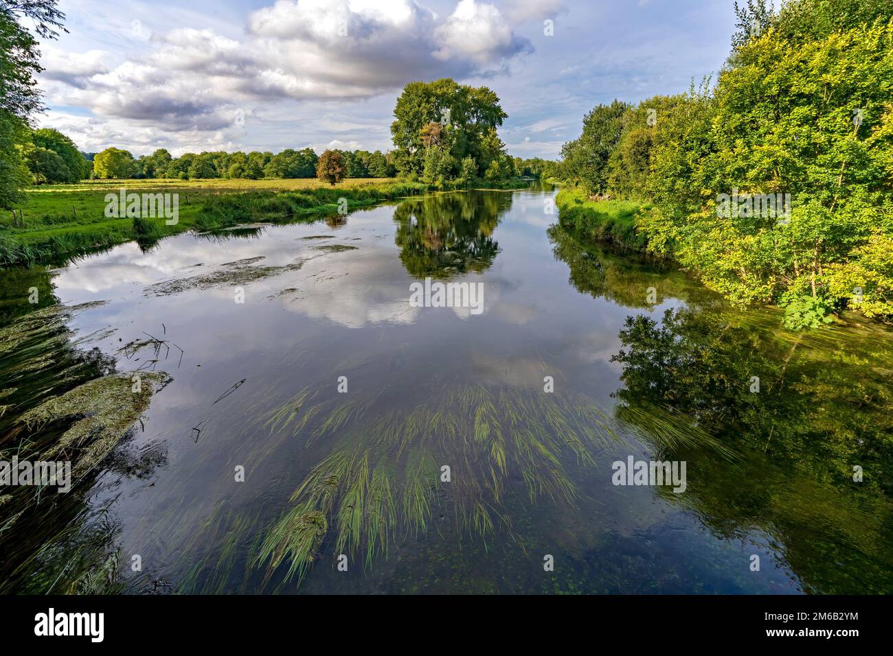 River Test à Stockbridge, Hampshire, Angleterre, Royaume-Uni Banque D'Images