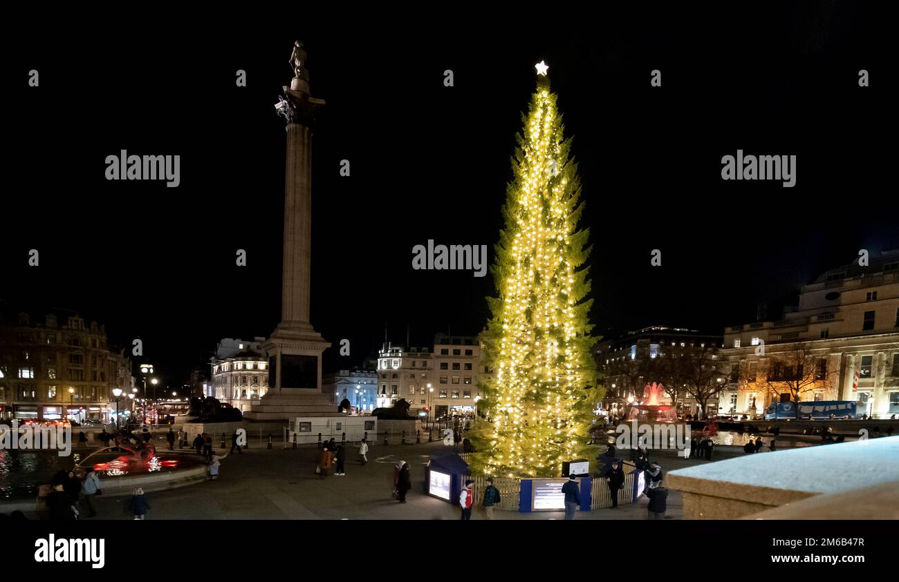 Le grand sapin de Noël norvégien offert chaque année en Norvège à Trafalgar Square un utilisateur de Twitter a appelé Norway 2022 Christmas Tree offer scrawny Banque D'Images