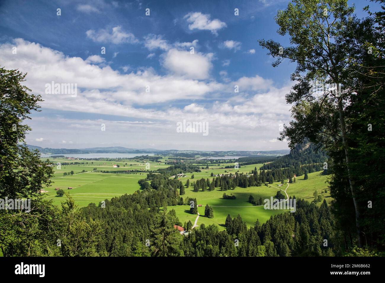 La campagne bavaroise près de Schwangau, Allemagne. Banque D'Images