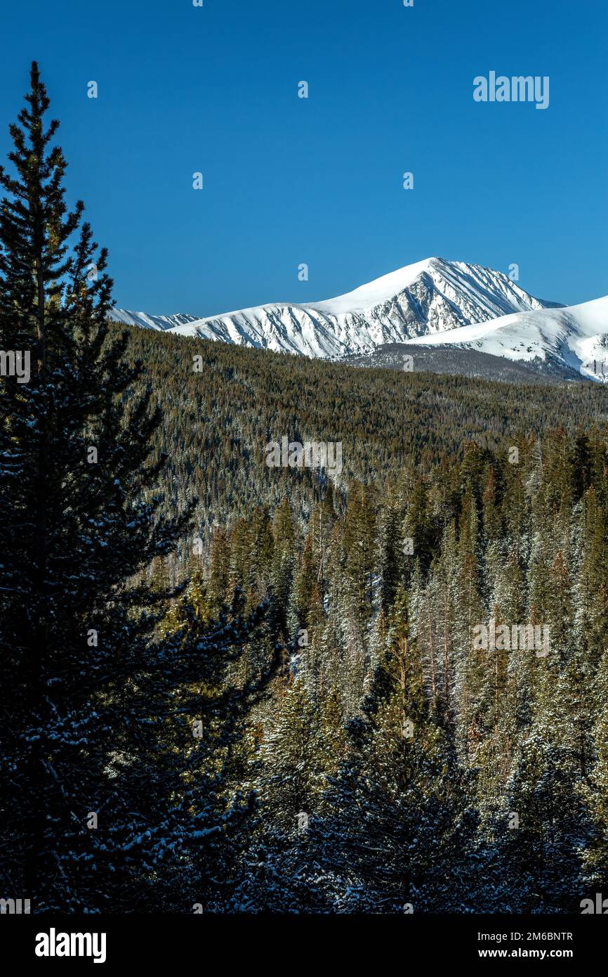 Quandary Peak (14 265 pieds), Ten Mile Range, à partir de Boreas Pass Trail, White River National Forest, près de Breckenridge, Colorado, États-Unis Banque D'Images