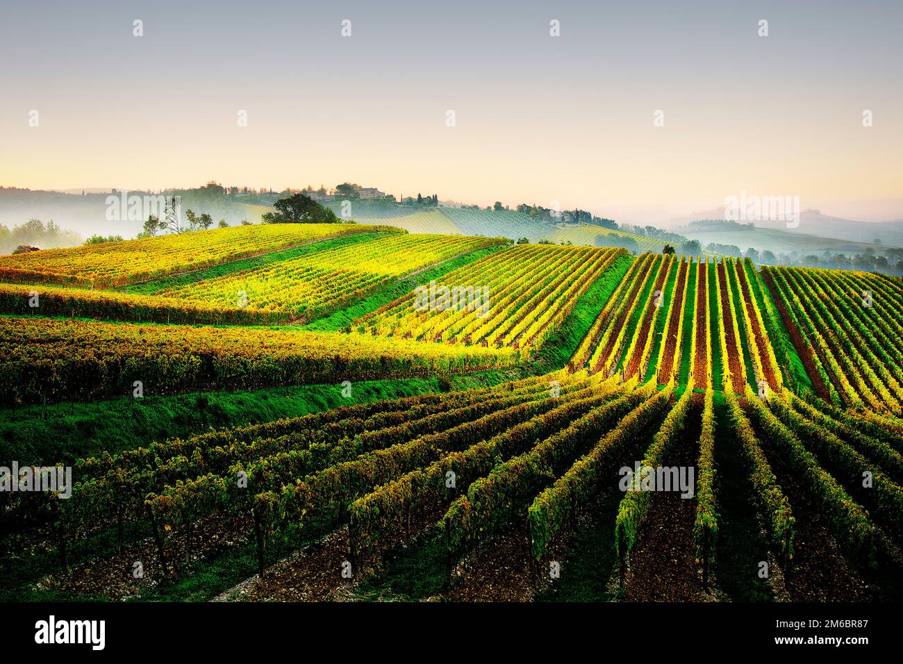 Chianti paysage viticole près de Lilliano, Toscane, Italie Banque D'Images