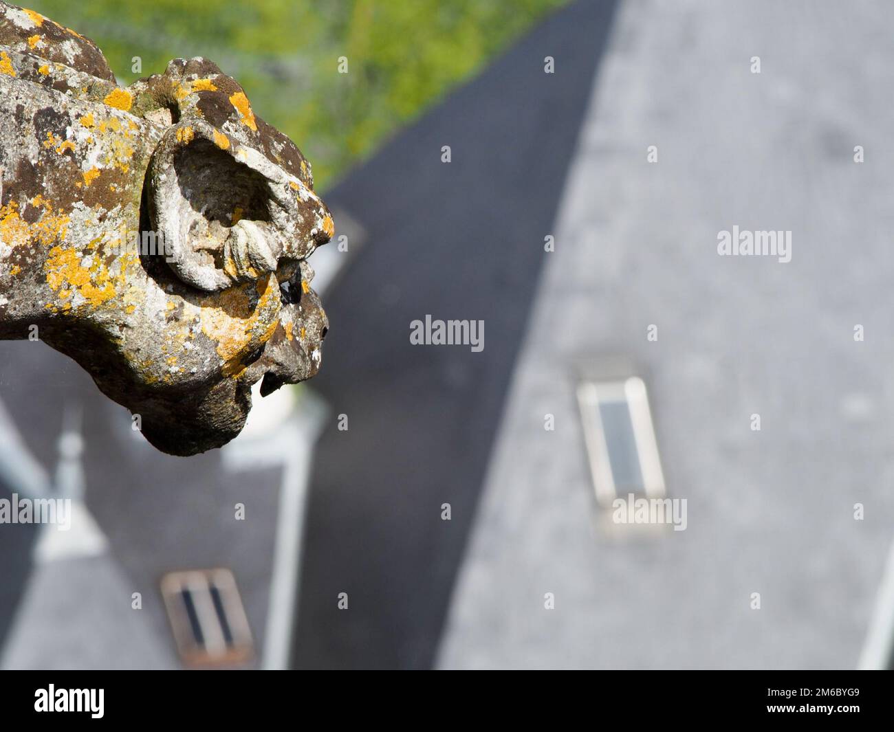 Gargoyle dirigez-vous comme une gouttière sur le château français Banque D'Images