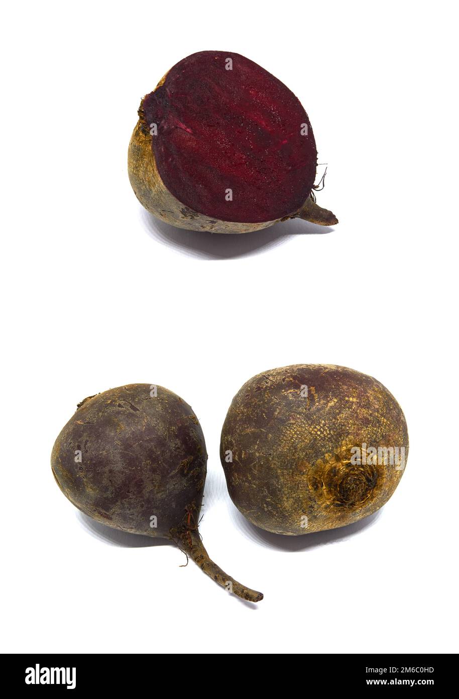 Betterave ED isolée sur fond blanc Banque D'Images