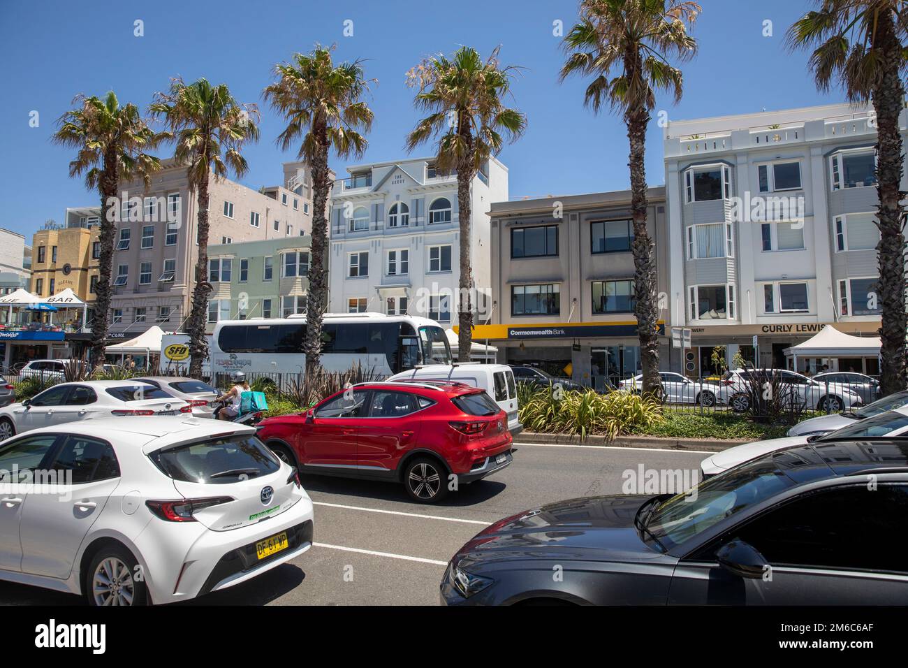 La banlieue de Bondi Beach, les voitures et les véhicules sur campbell Parade Bondi avec des palmiers imposants, Sydney, Nouvelle-Galles du Sud, Australie Banque D'Images