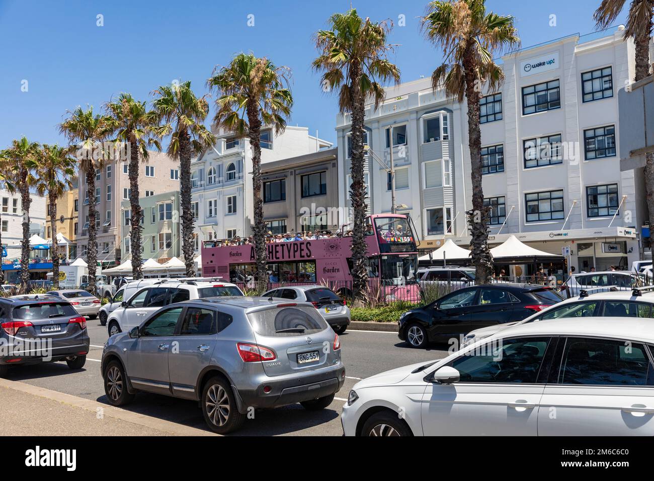 La banlieue de Bondi Beach, les voitures et les véhicules sur campbell Parade Bondi avec des palmiers imposants, Sydney, Nouvelle-Galles du Sud, Australie Banque D'Images