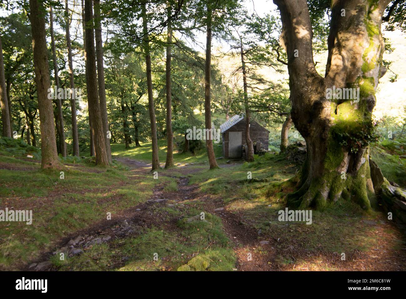 Magnifique paysage du Parc National de Snowdonia, Pays de Galles, Royaume-Uni Banque D'Images