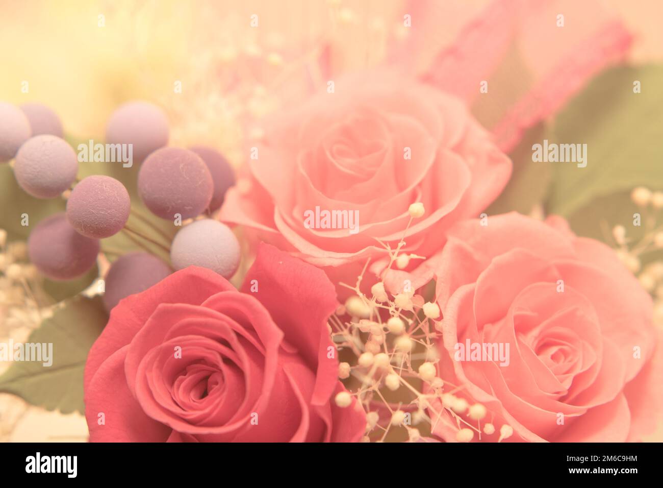 Un cadeau de Preservrd Flower and Clay Flower Arrangement, Pink and Red Roses Banque D'Images