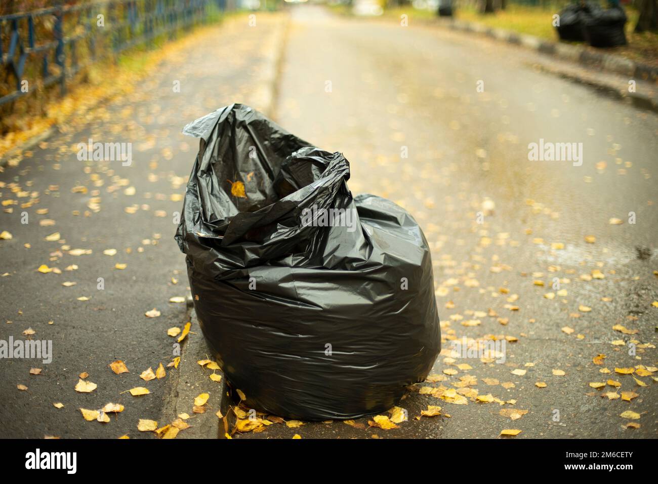 Sac de déchets sur le côté de la route. Récolte des feuilles. Banque D'Images