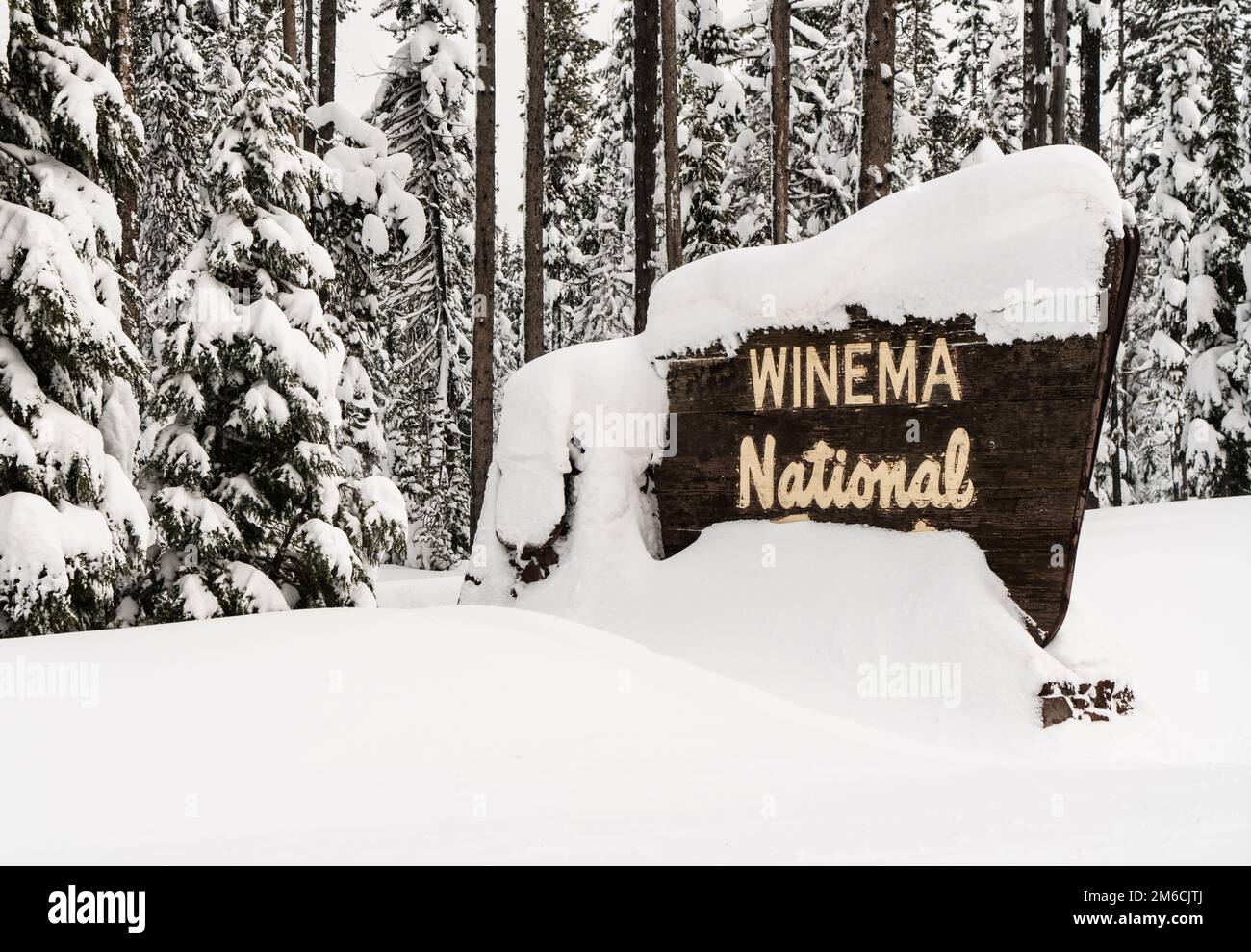 Winter Woods Winema National Forest Welcome Sign Banque D'Images