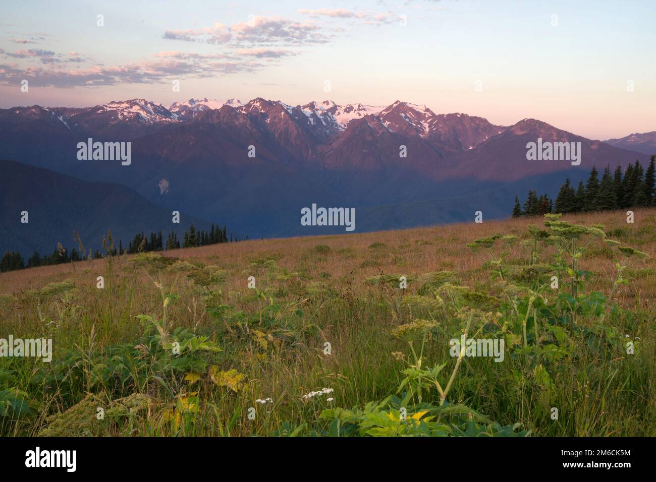 Coucher de soleil Hurricane Ridge Parc national de la chaîne olympique Washington États-Unis Banque D'Images