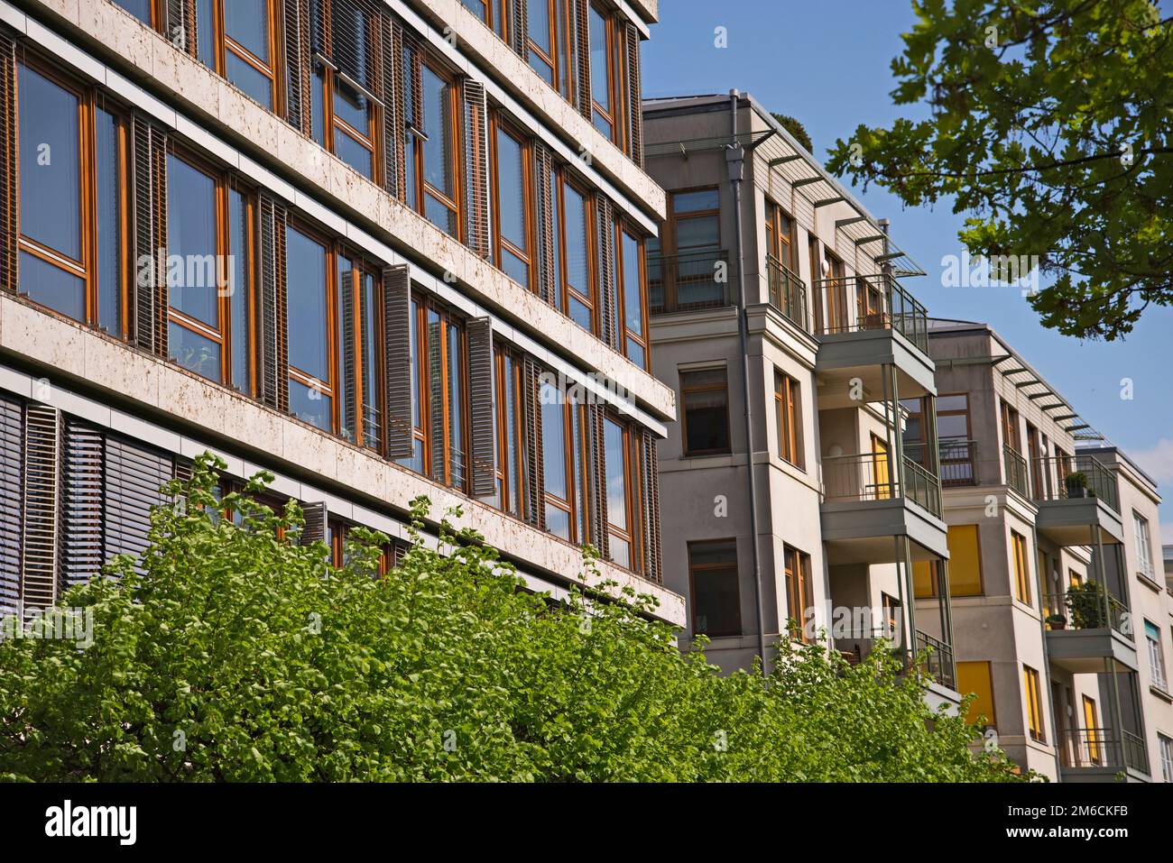 Maisons urbaines modernes entourées d'arbres verts. Banque D'Images