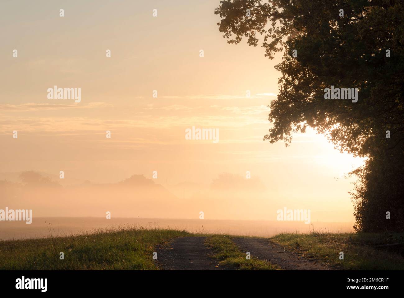 Lever de soleil brumeux près de la forêt et de la voie Banque D'Images