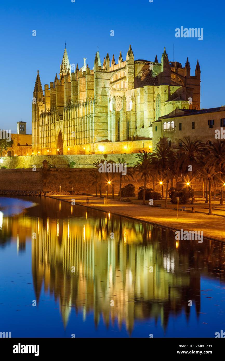 Cathédrale de Palma de Majorque soirée Portrait de nuit Voyage Espagne Banque D'Images