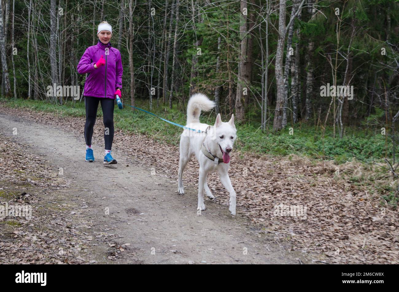 Femme avec un chien sur une course dans le parc Banque D'Images