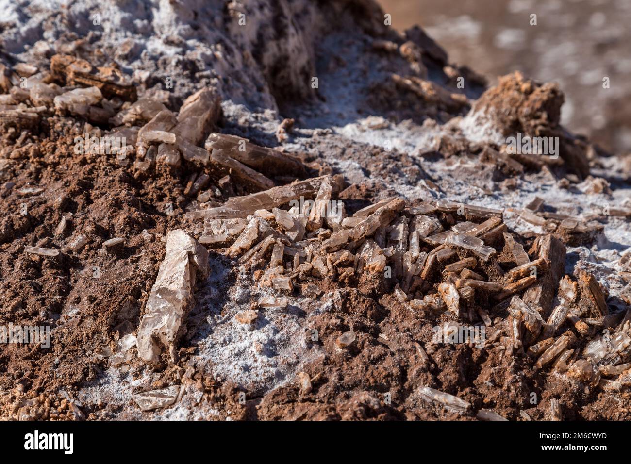 De grands cristaux de sel dans un désert. Valle de la Luna, Atacama, Chili Banque D'Images