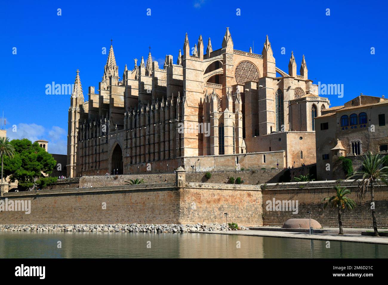 Cathédrale de Palma de Majorque ou la Seu Mallorca, Iles Baléares, Espagne Banque D'Images