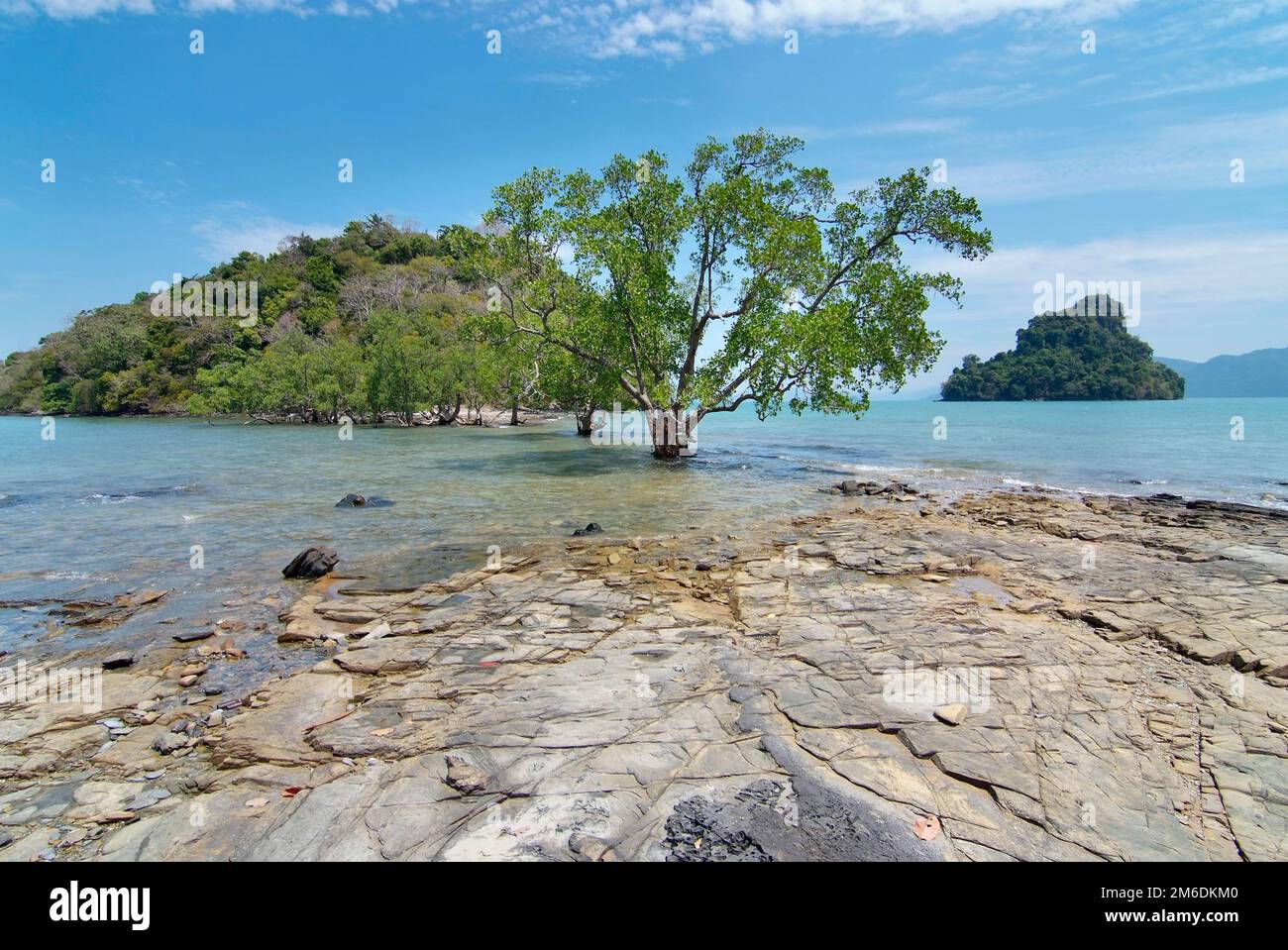 Magnifique paysage avec mangroves et petites îles Banque D'Images