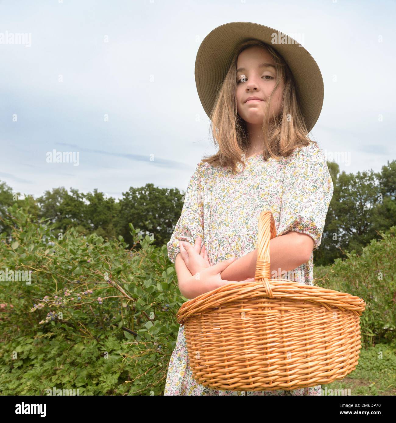Routine de récolte. Adolescente dans un chapeau à large bord et un panier en osier sur le terrain Banque D'Images