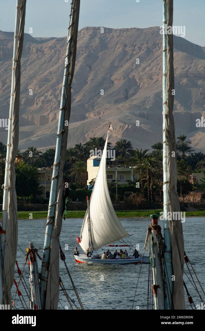 Un bateau à voile Felucca sur le Nil à Louxor, en Égypte Banque D'Images
