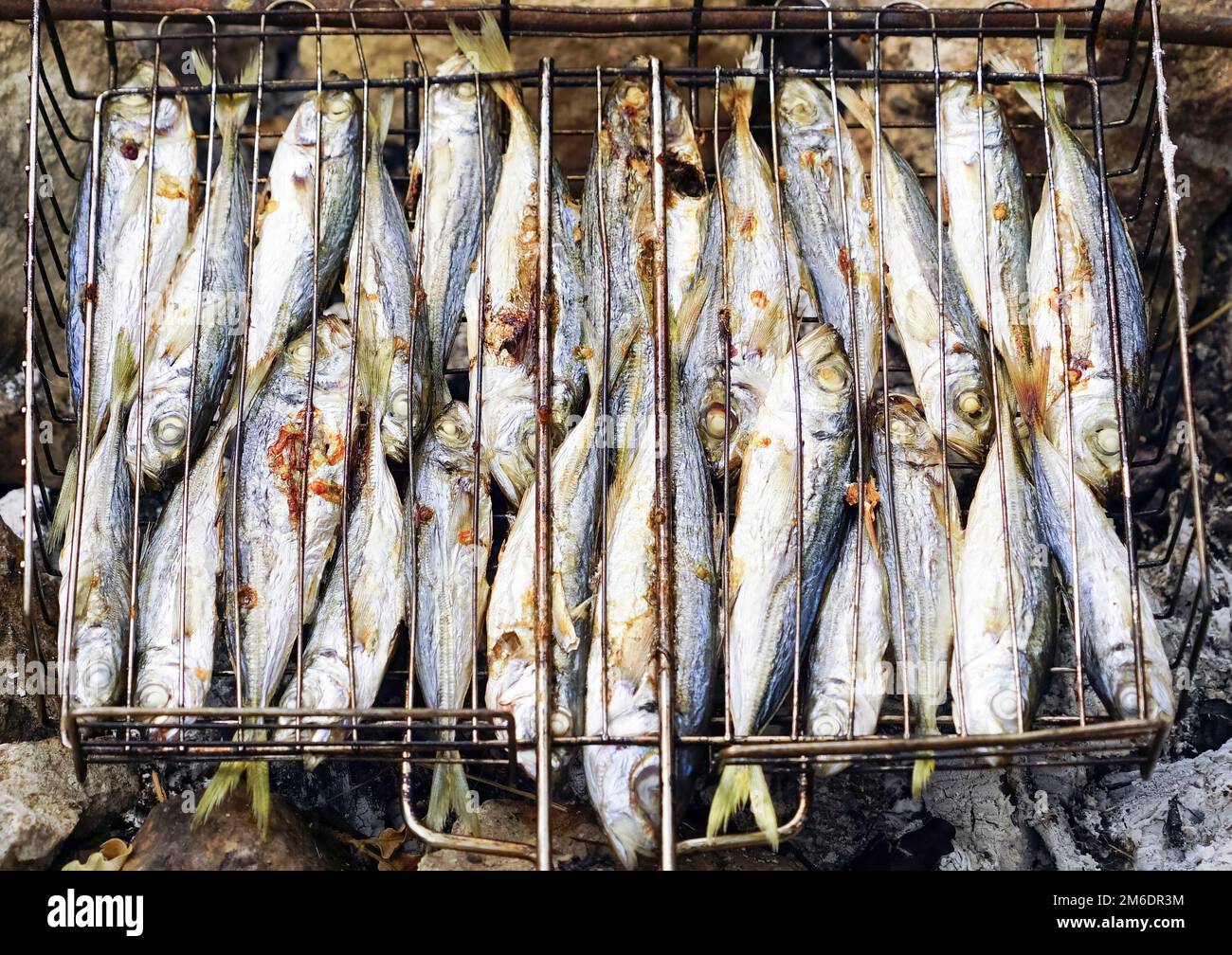 Un petit poisson du maquereau de cheval de Crimée rôti sur le gril . Banque D'Images