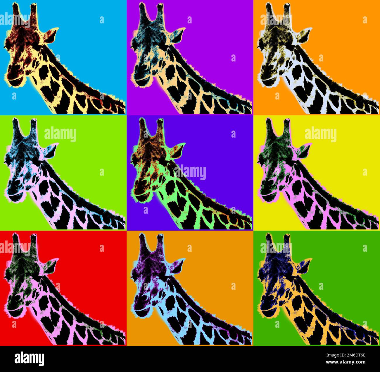 Affiche avec girafe dans le style pop art Banque D'Images