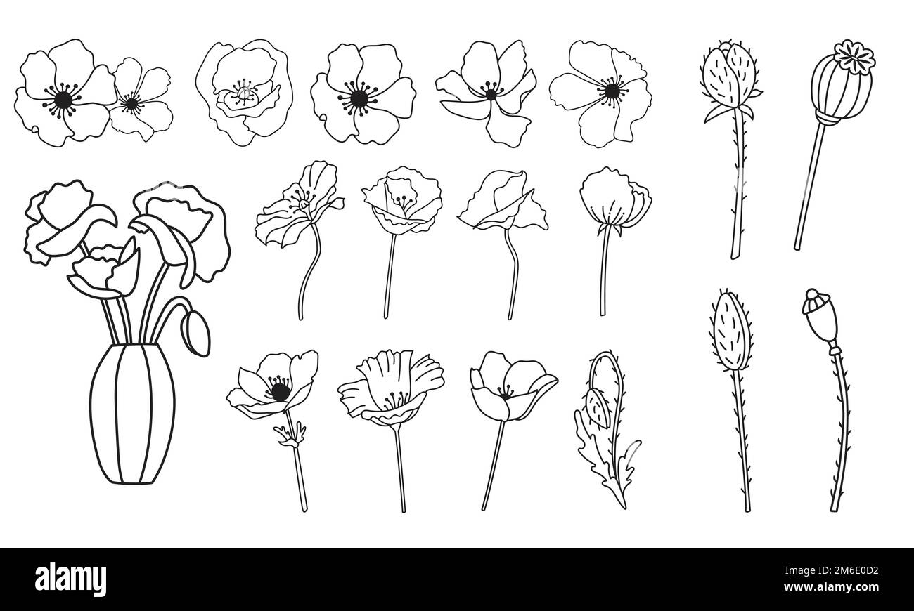 Ensemble de fleurs d'anémones vectorielles, illustration de lignes graphiques noires et blanches dessinées à la main, coquelicots de champ botanique, bourgeons, vase, costumes pour la découpe de traceur Illustration de Vecteur