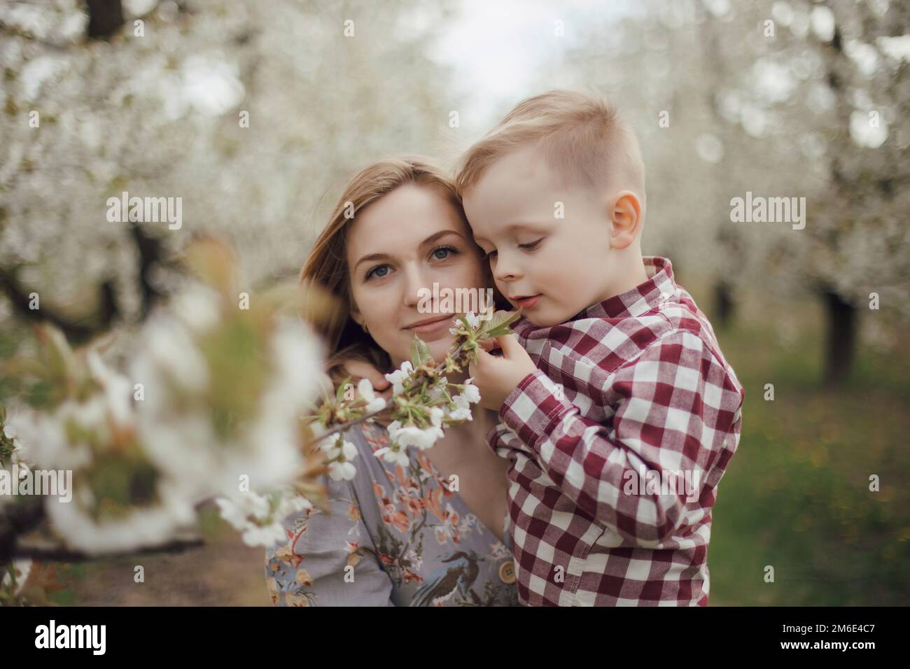 Maman avec son fils dans un jardin fleuri. Marchez avec bébé dans la nature au printemps. Jardin à Grojcu. Banque D'Images